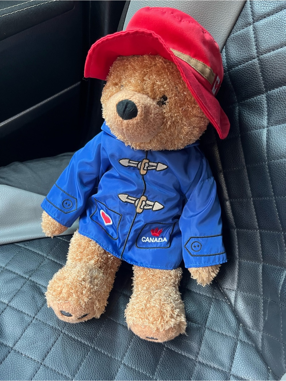 Brown Plush Bear with Blue Coat and Red Hat - Canada Accent